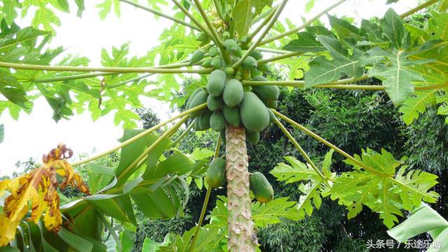 蓬莱火山岛,蓬莱有哪些火山岛景区