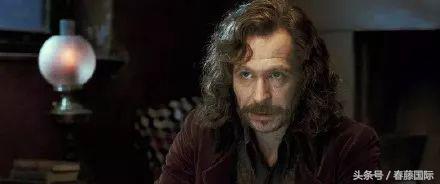 oscars奥斯卡颁奖,oscar奥斯卡金奖之夜