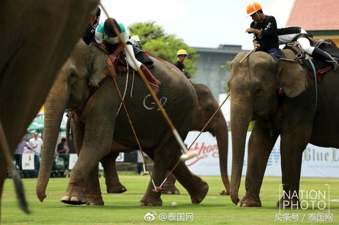 第4届泰国足球公开赛,泰国国王杯佛牌比赛