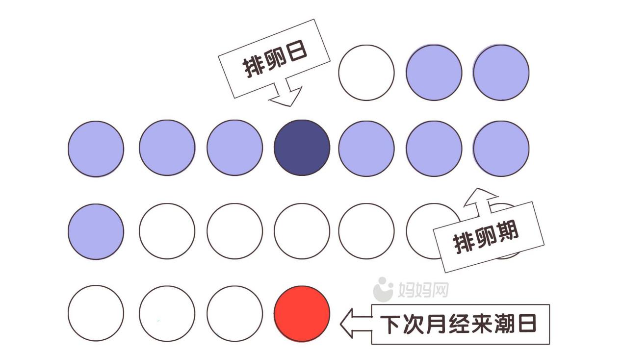 科学备孕指南视频教程全集,备孕大半年都没怀上要做什么检查