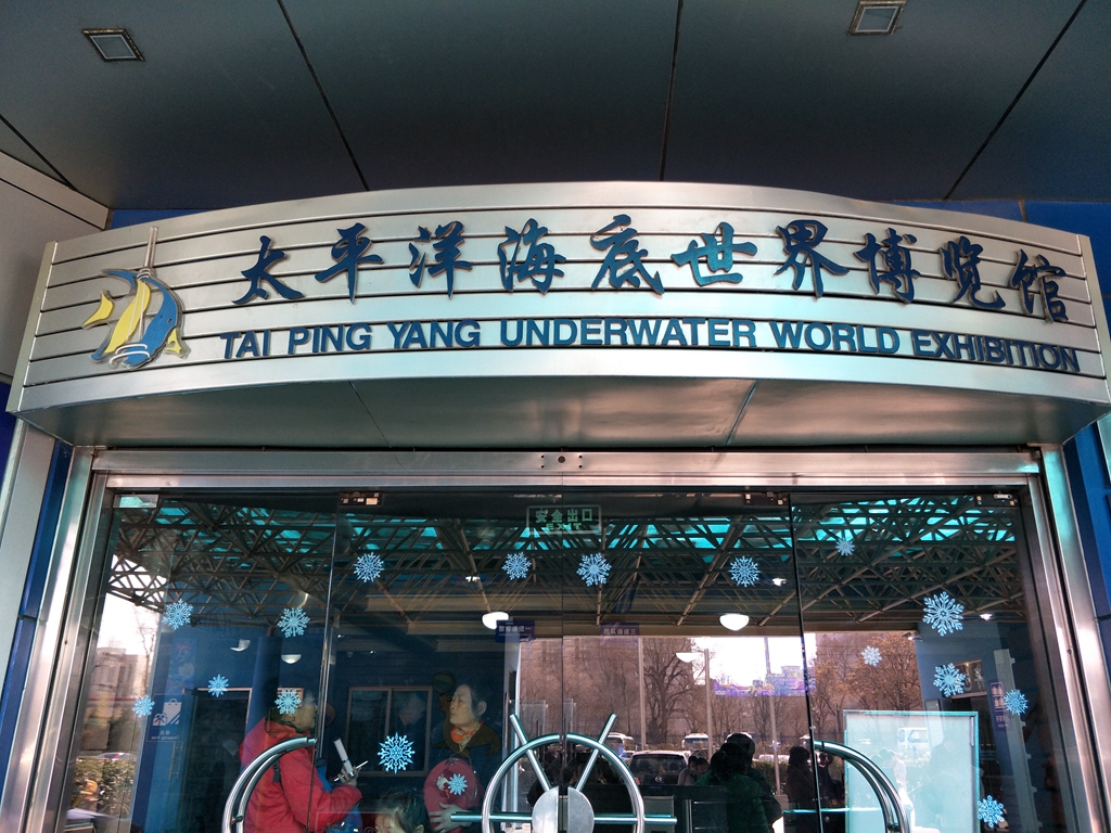 北京南到太平洋海底世界,走进太平洋海底世界视频