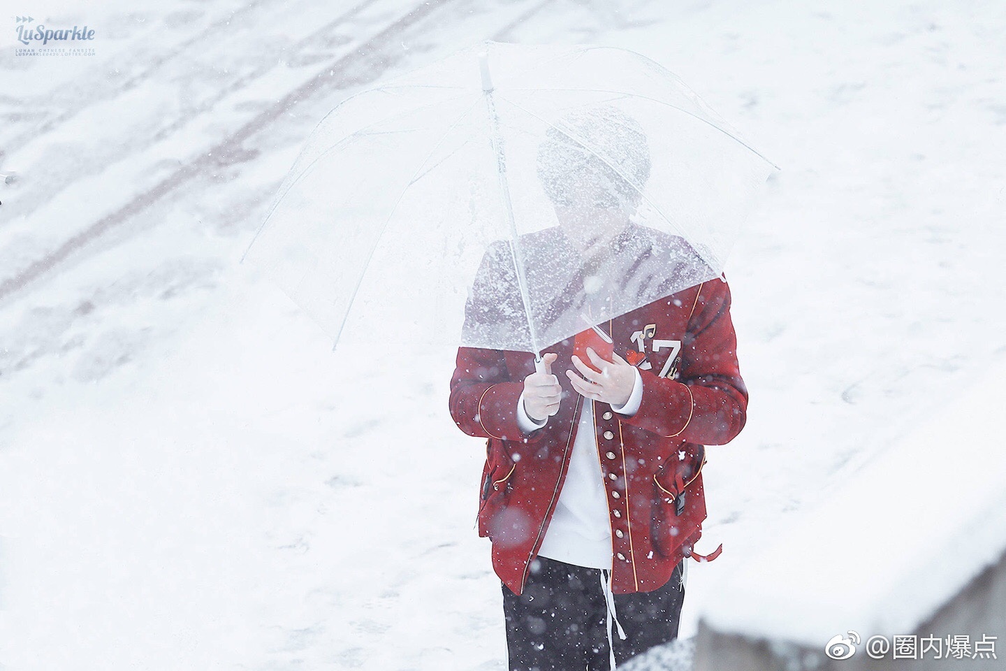 鹿晗维也纳晒照雪中,鹿晗雪中撑伞漫步完整版