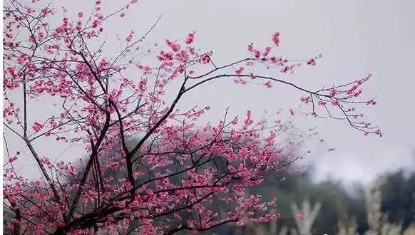 合肥周边自驾游一日游景点大全,合肥到六安一日游最佳去处深秋