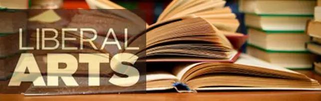 llm专业怎么样,llm选择什么专业