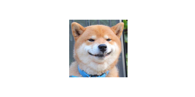 汽车音乐节宣传,汽车音乐节现场怎么样