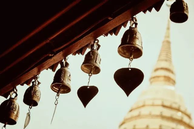 君行体验官专栏丨他在佛之国度，邂逅了一场浪漫