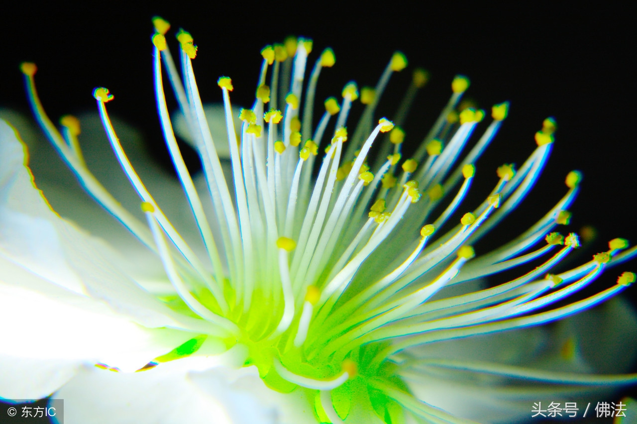 佛教为什么称自己是无神论者呢,佛教是无神论为什么还有佛像