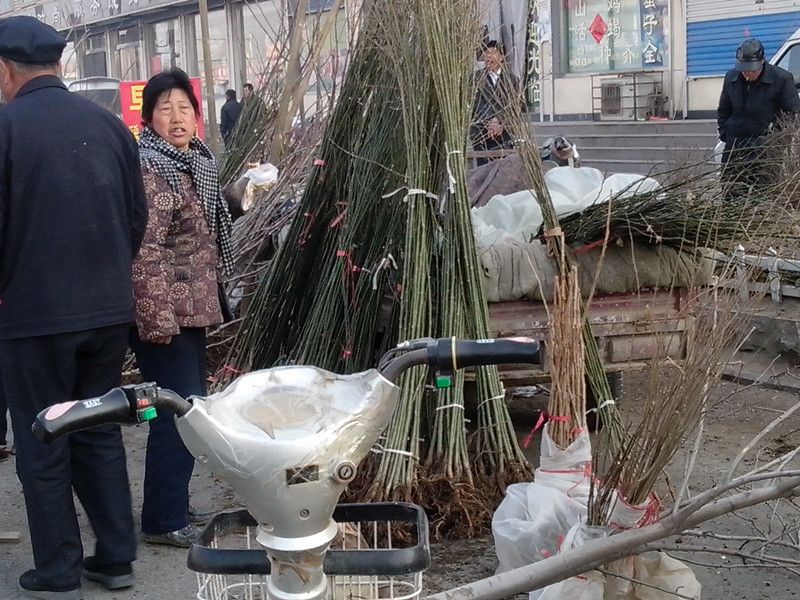 春天农村大集现在都卖什么生意好,今年农村适合做什么小买卖