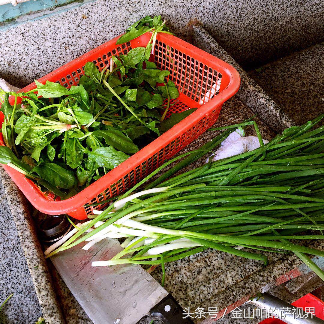 九华山农家院子,九华山民宿老板娘兼导游