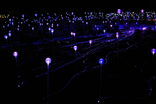 悉尼婚纱摄影店,澳洲婚纱摄影基地