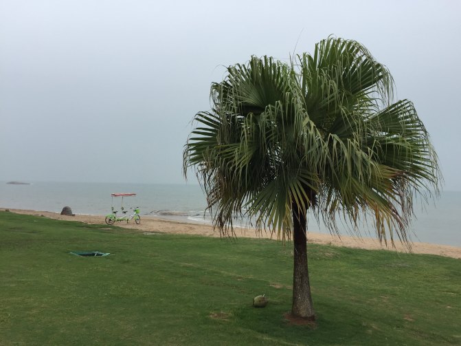 鼓浪屿自驾游全攻略,厦门鼓浪屿登岛全攻略