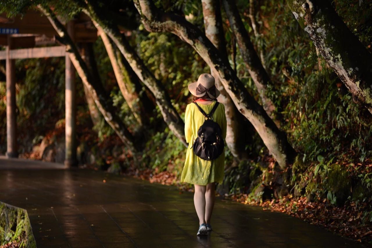 每天想带八百件东西出门,每天都想出去旅行