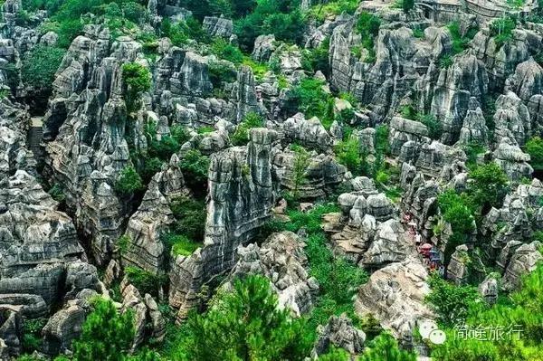 重庆生物地理答案,重庆水土生物研究