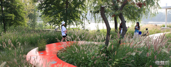 城市双修的缺点,什么是城市双修