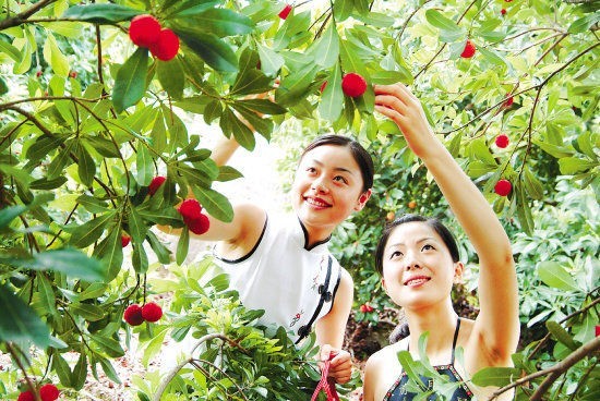 广州大热乡村旅游攻略,广州乡村游