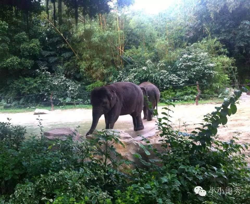 带孩子广州长隆旅游攻略,长隆动物乐园多长时间可以逛完