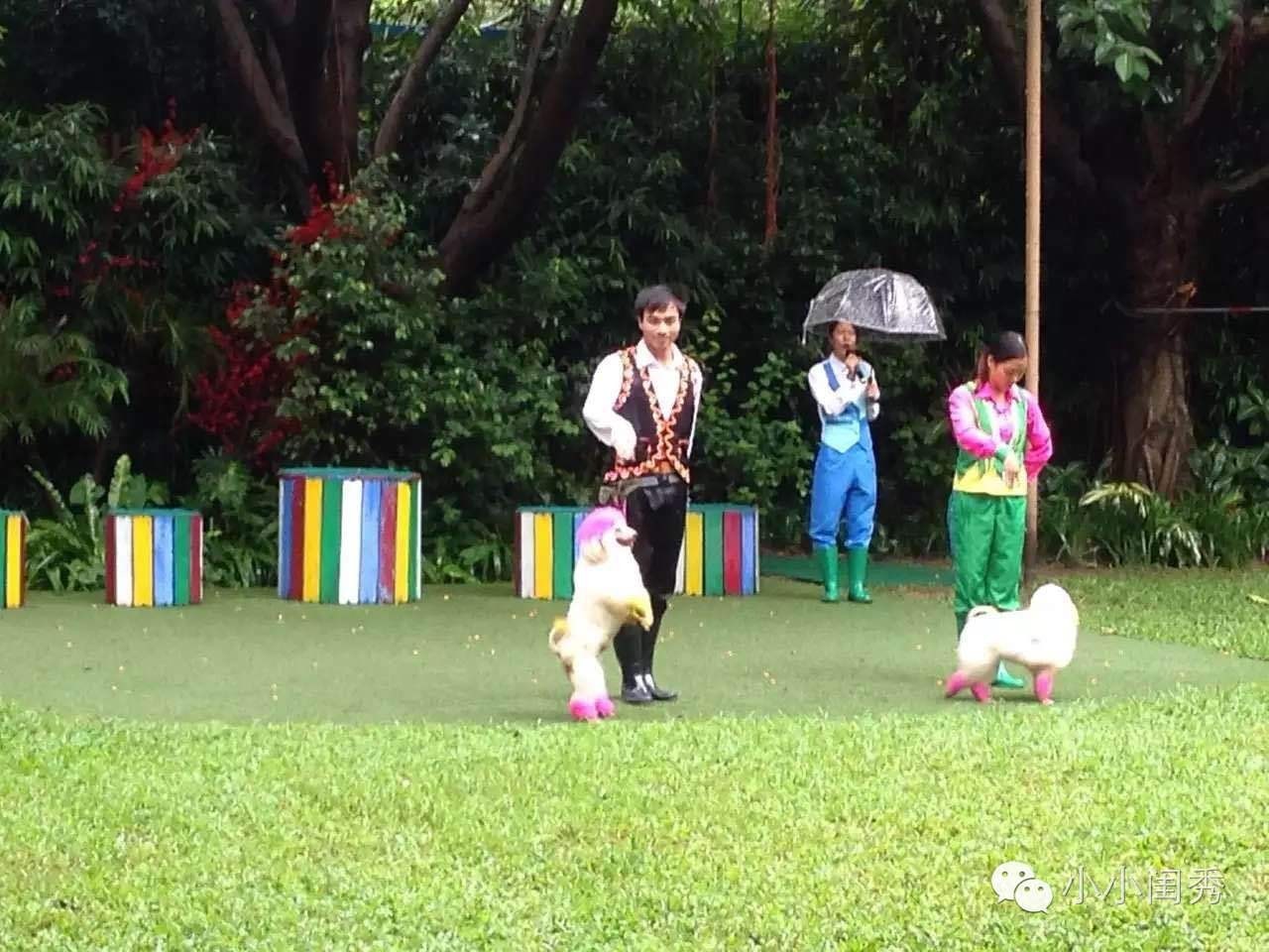 带孩子广州长隆旅游攻略,长隆动物乐园多长时间可以逛完