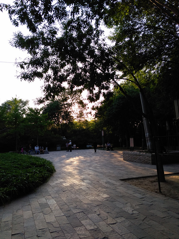 中国移动a2手机配置价格,中国移动发布手机性能测评