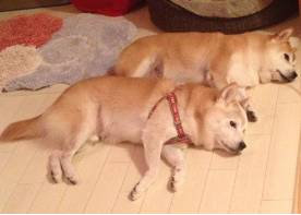 如何快速的和男朋友分手,怎么才能快速和男朋友分手