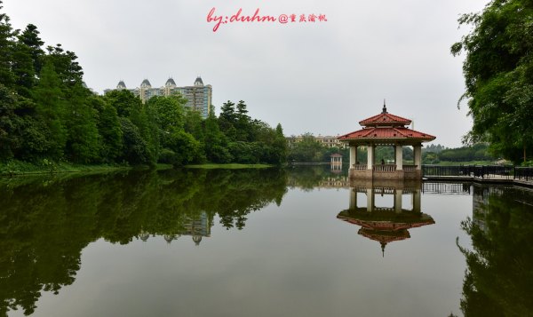 去广东增城玩有哪些攻略,广州周末好去处增城