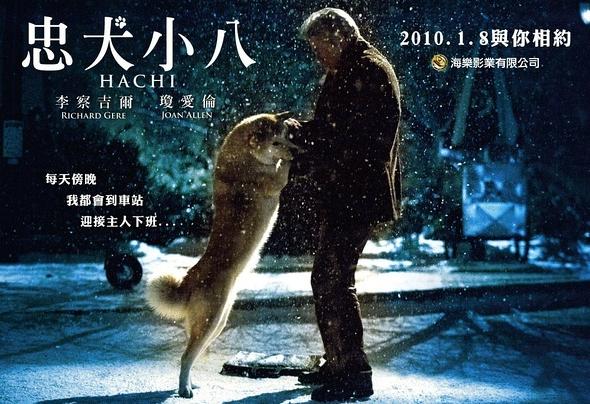 导盲犬小q动漫片影评,导盲犬小q电影总结