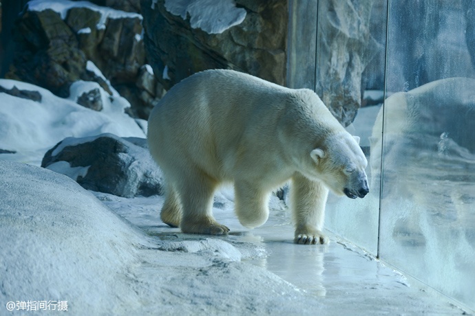 珠海长隆旅游攻略和住宿,珠海长隆周末有什么活动