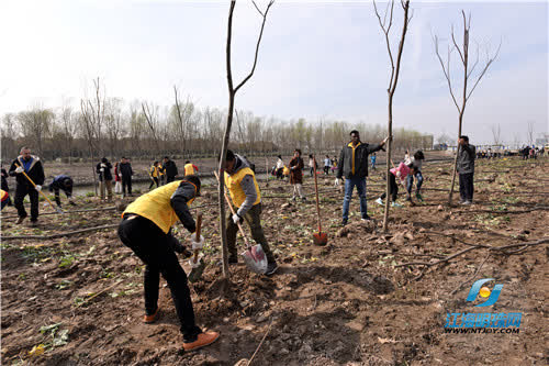 “爱上南通——添绿家园”中外志愿者共同植树为南通添绿