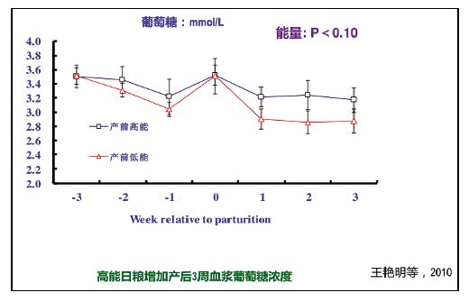 王艳明牛奶,王艳明