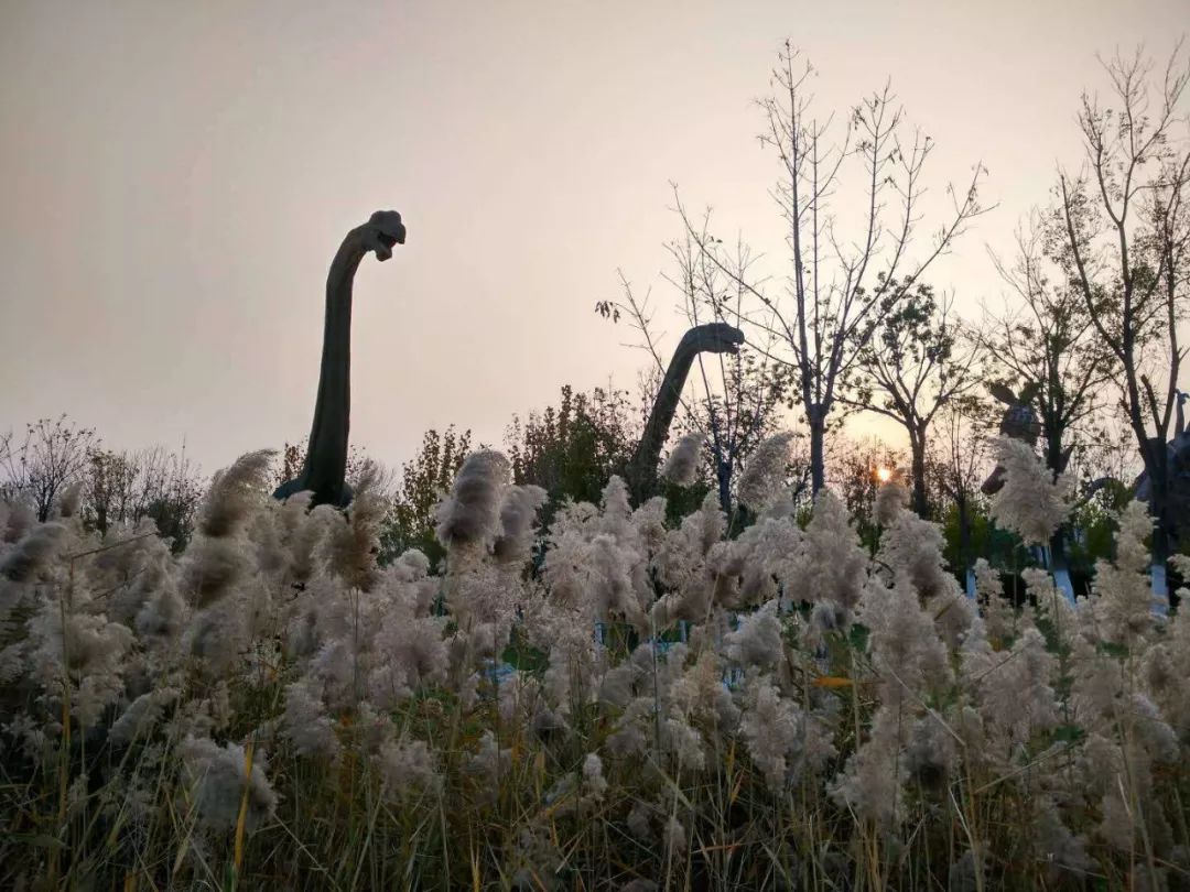 动物们嗷嗷待哺，在北京周边这个度假区里，你就是饲养员！