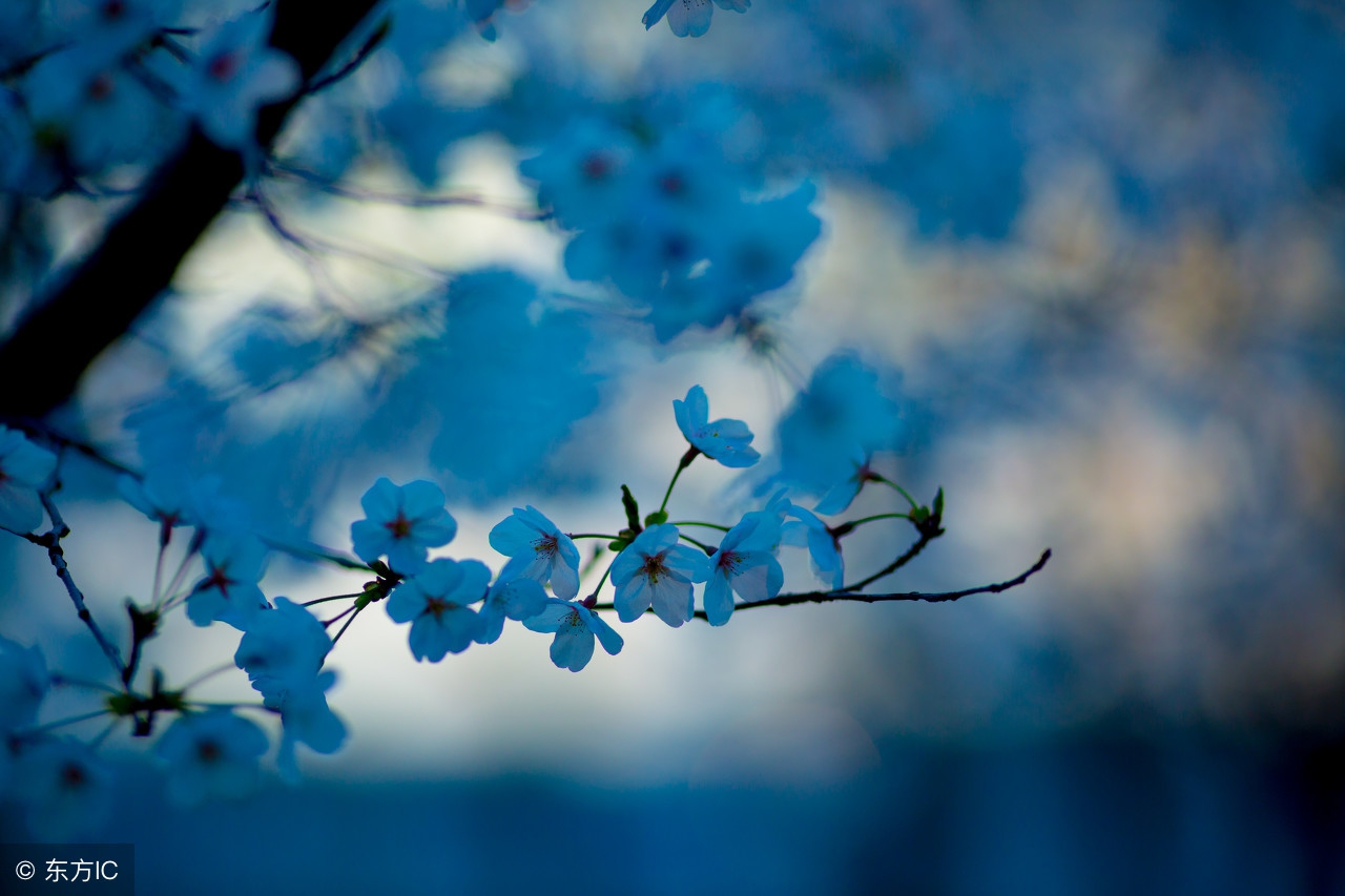 流年运势查询图表大全详解,流年运气怎么看吉和凶呢