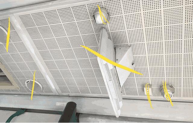 用巴士打造花园式移动天然影院，这波操作你见过么？