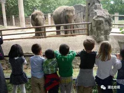 过敏高发季,过敏儿童注意什么