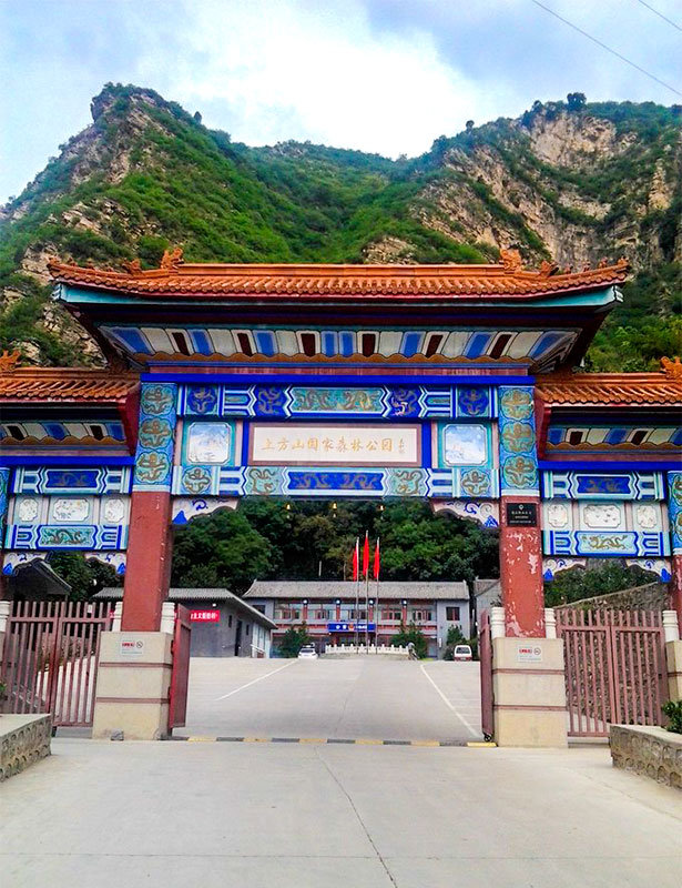 上方山森林动物世界游记,上方山动物园游记四年级