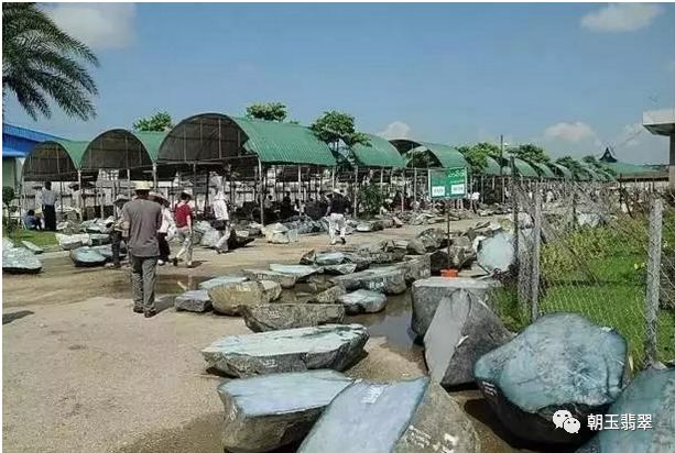 翡翠圈的糗事,翡翠轶事完整视频