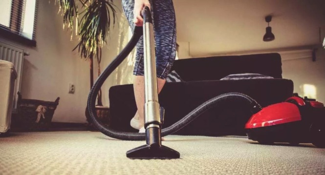 汪星人感冒了会怎样,汪星人最怕什么刑罚