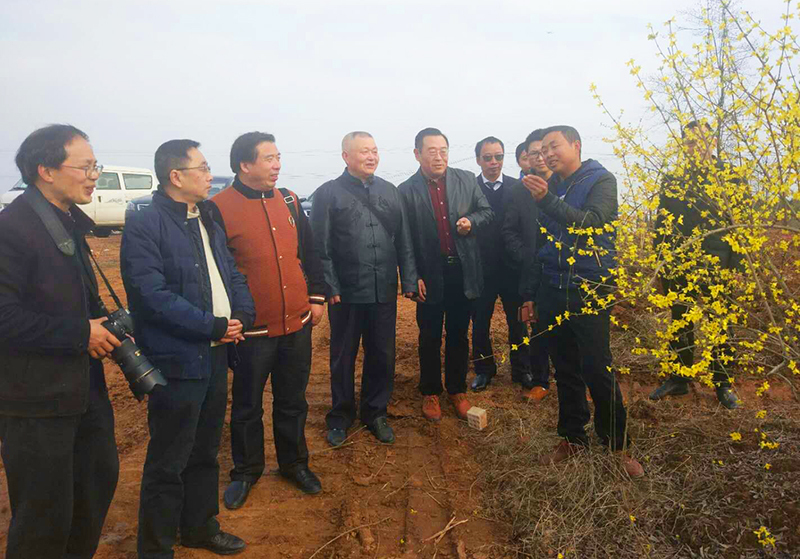 四川南充高坪佛门乡,四川高坪区佛门乡