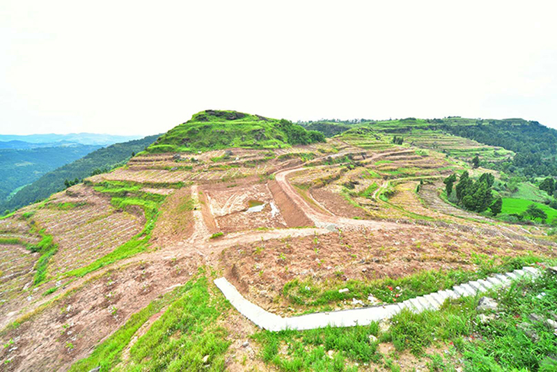 四川南充高坪佛门乡,四川高坪区佛门乡