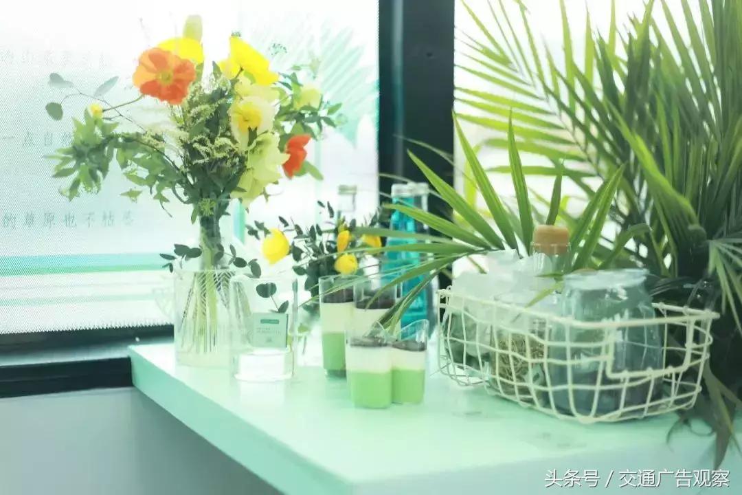 用巴士打造花园式移动天然影院，这波操作你见过么？