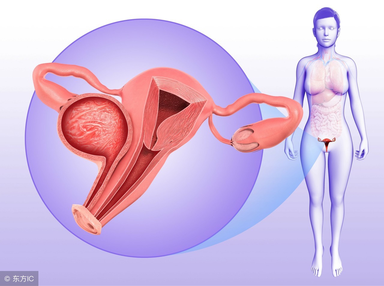 女性没有白带意味着健康干净吗,白带代表女性健康的标志