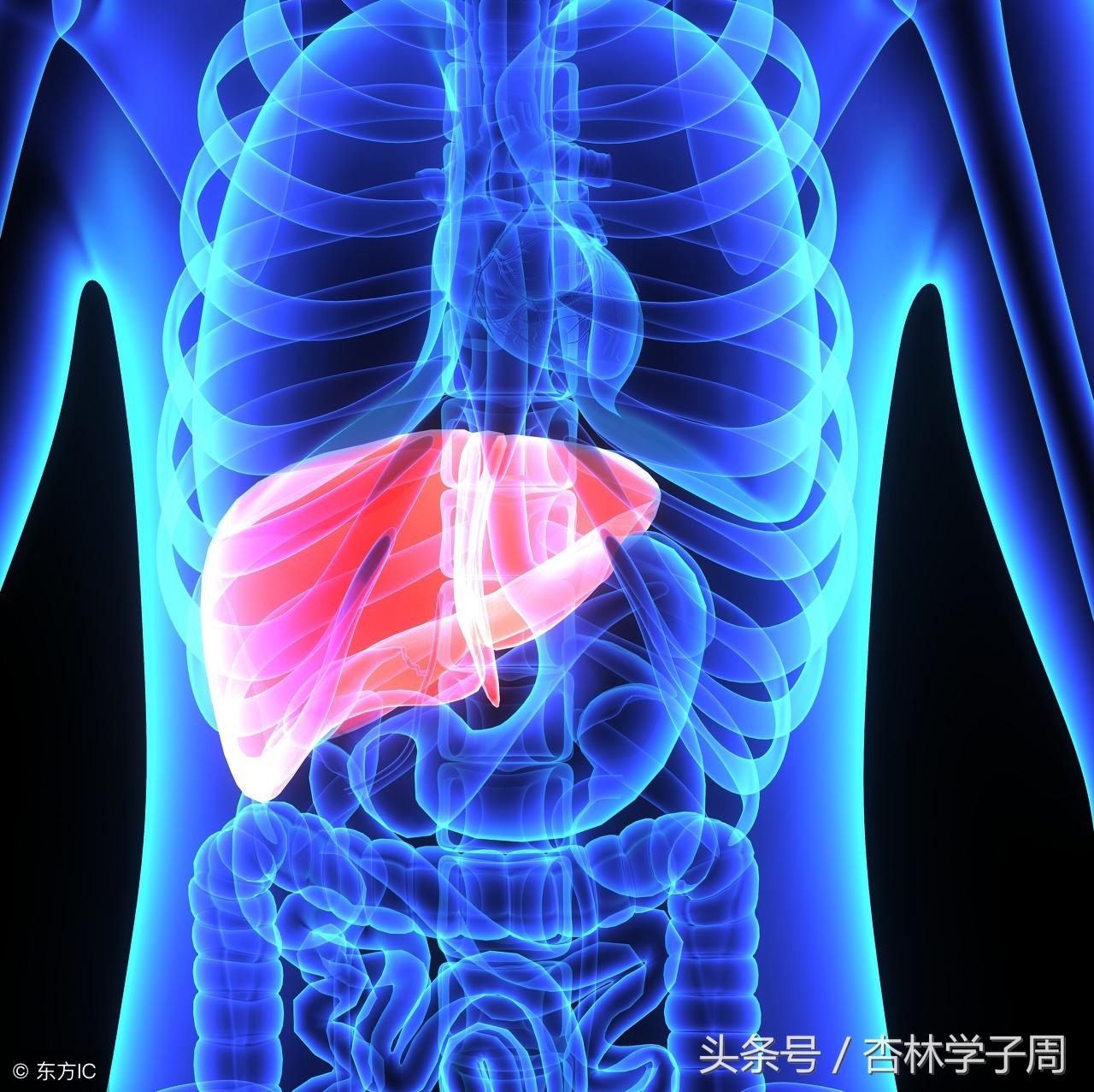 尿毒症引起的腿疼吃什么药,尿毒症腿痛