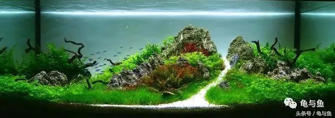 关于水族方面的科普,关于计量单位的科普视频