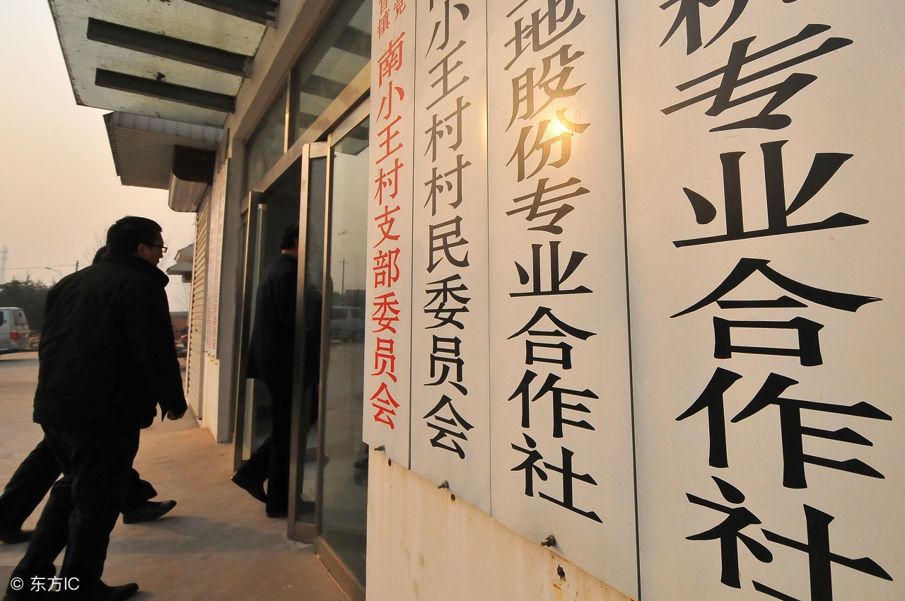 枣强县政府合作社补贴政策通知,合作社补贴2024年政策河北