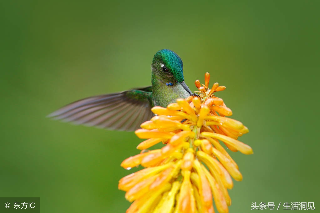 单位混得好的人都懂得这7条规则,要想混得好一定要懂人情世故