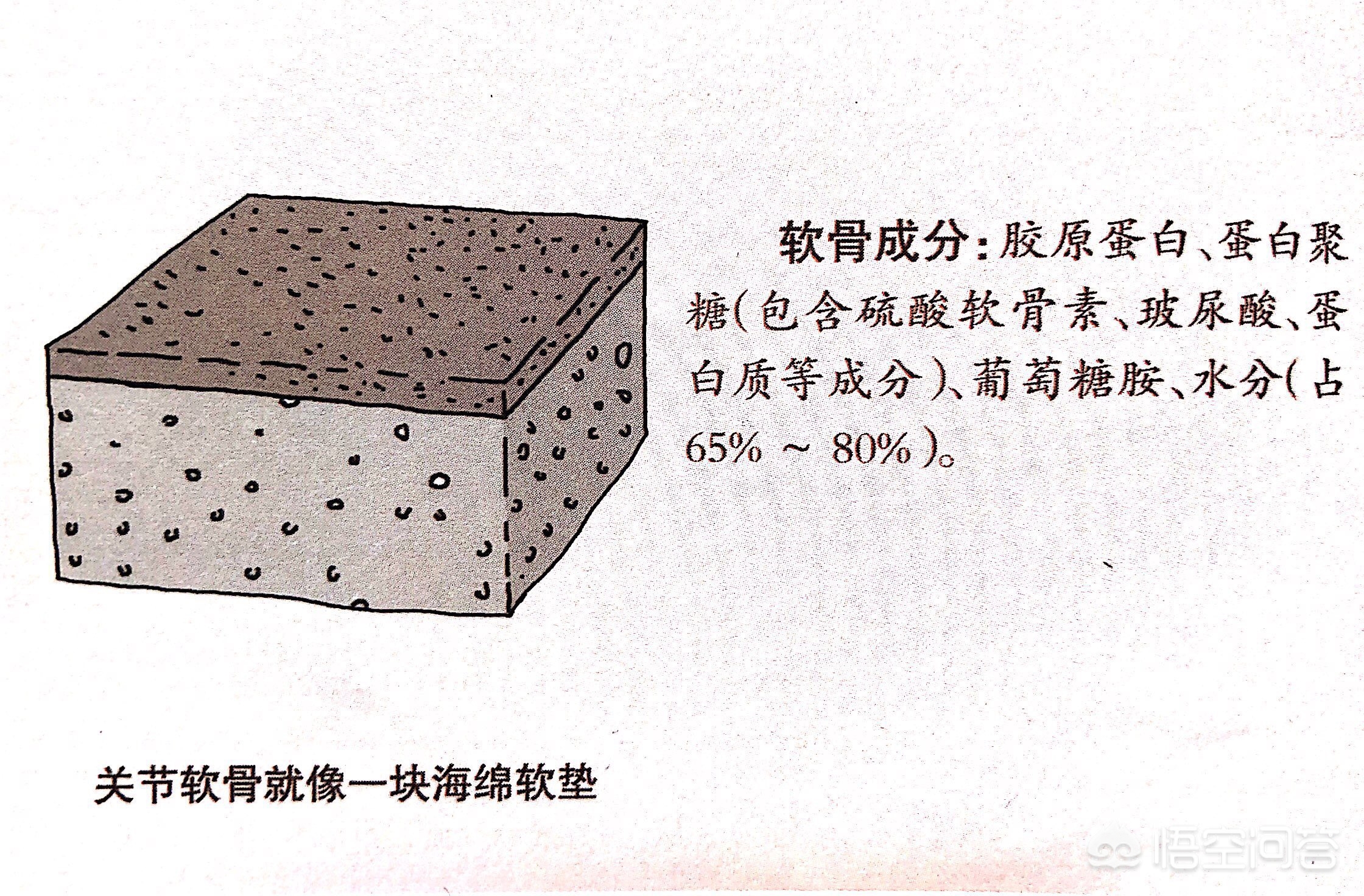 长骨刺会引起哪些状况,长骨刺会有什么症状