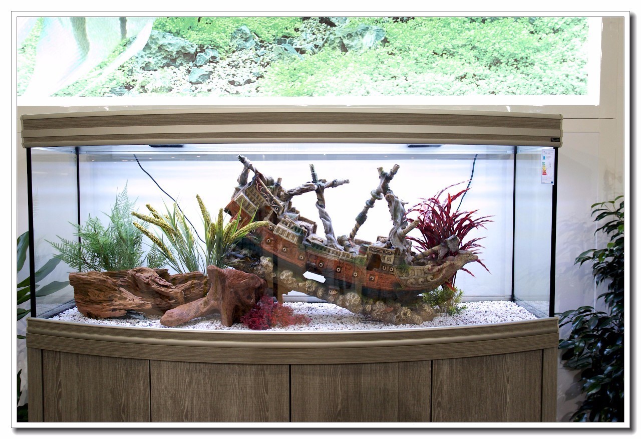 德国纽伦堡宠物展,2018德国纽伦堡宠物展