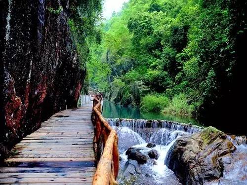 电子圈的父母六一带孩子去哪儿？