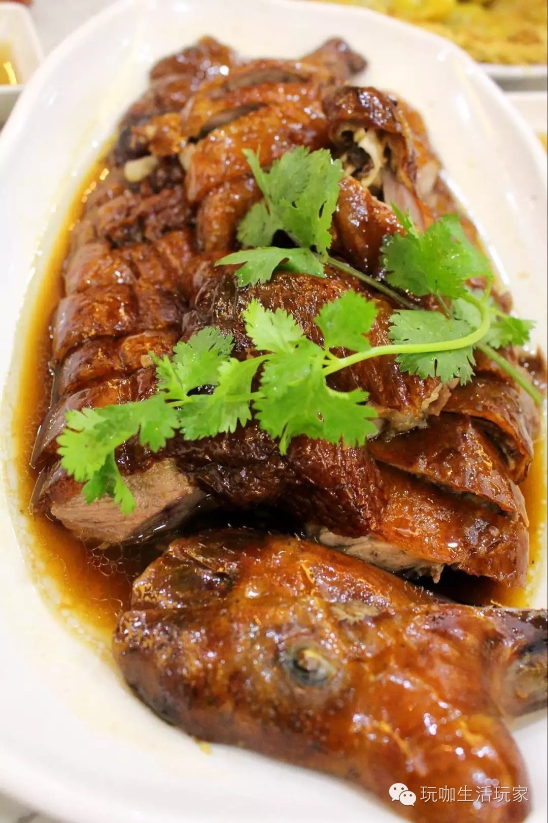 喜喜又出大事啦，快来围观啊玩咖美食通关之喜喜茶餐厅