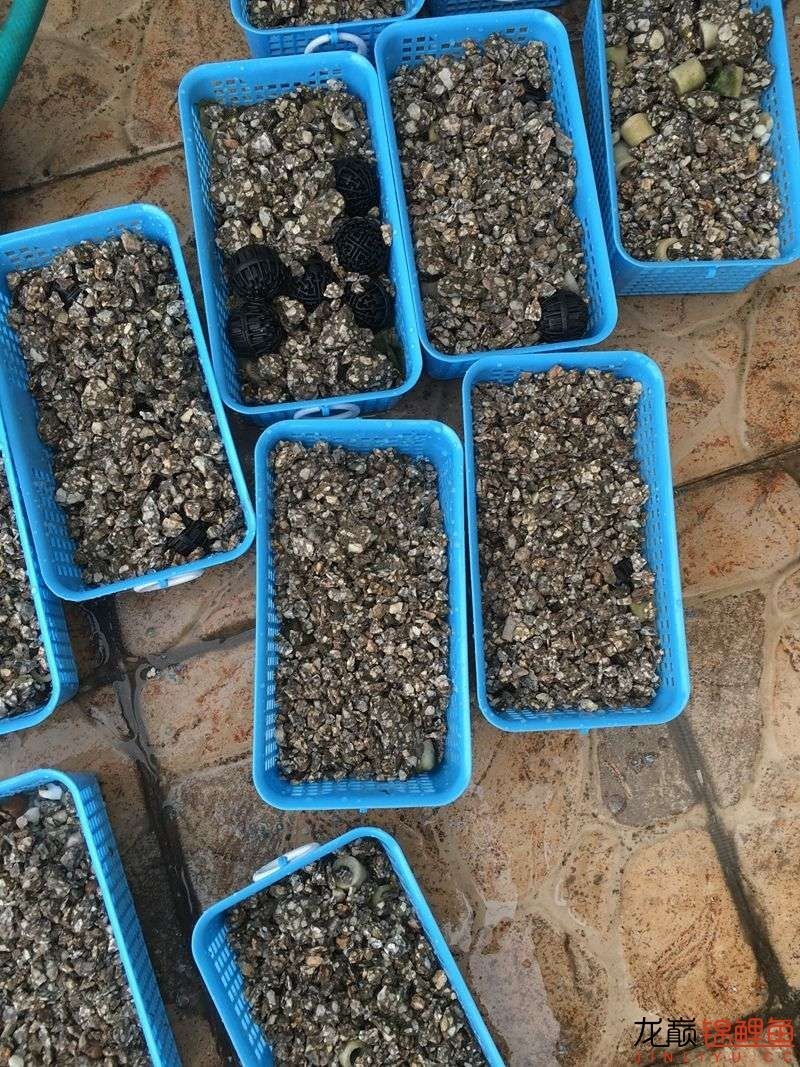 pp塑料锦鲤池,pp板材焊锦鲤池