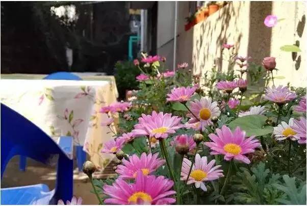 鐩樼偣閭d簺绮捐嚧鐨勪笅鍗堣尪,涓嬪崍鑼朵紭閫夌郴鍒楁湁鍝簺