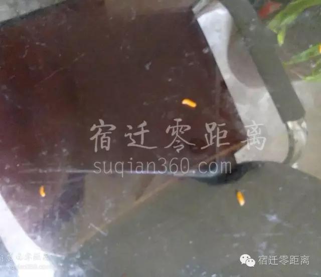 桑葚里爬出虫子,桑葚放大里面有虫子